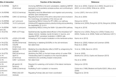 4.1N-Mediated Interactions and Functions in Nerve System and Cancer